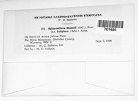 Image Associated With the Occurence